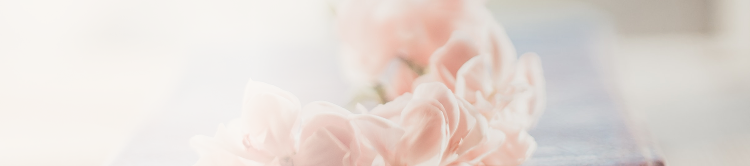 Närbild av mjuka rosa blommor i oskärpa.